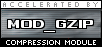 Accelerated by mod_gzip